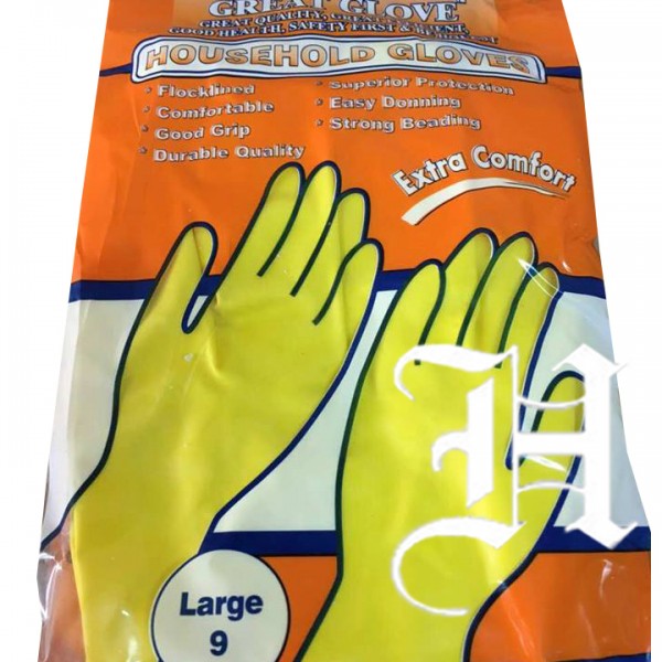Household Glove in Pack copy